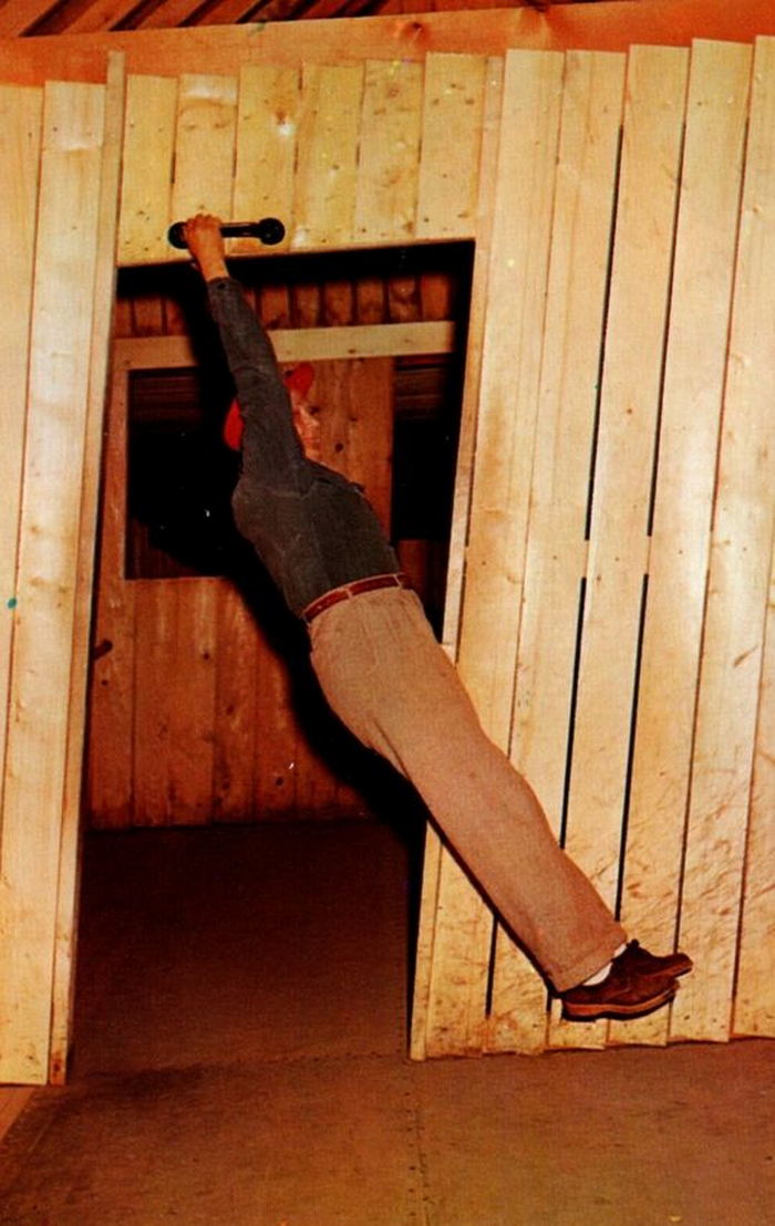 Mystery Spot - Vintage Postcard (newer photo)